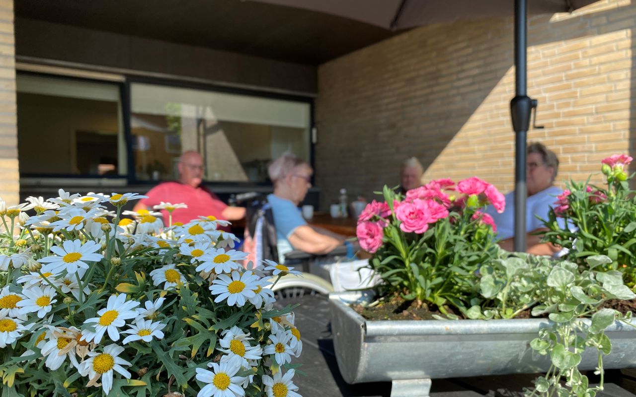Terrasse med blomsterkrukker hos Møllebo