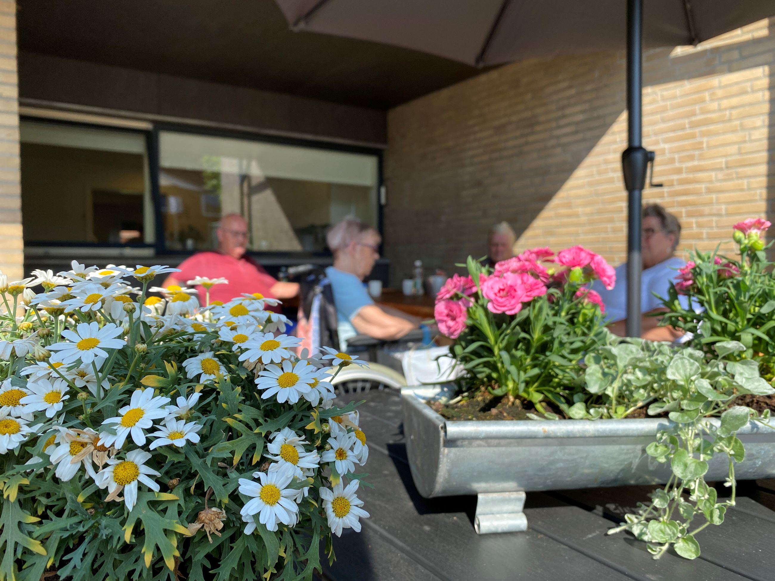 Terrasse med blomsterkrukker hos Møllebo