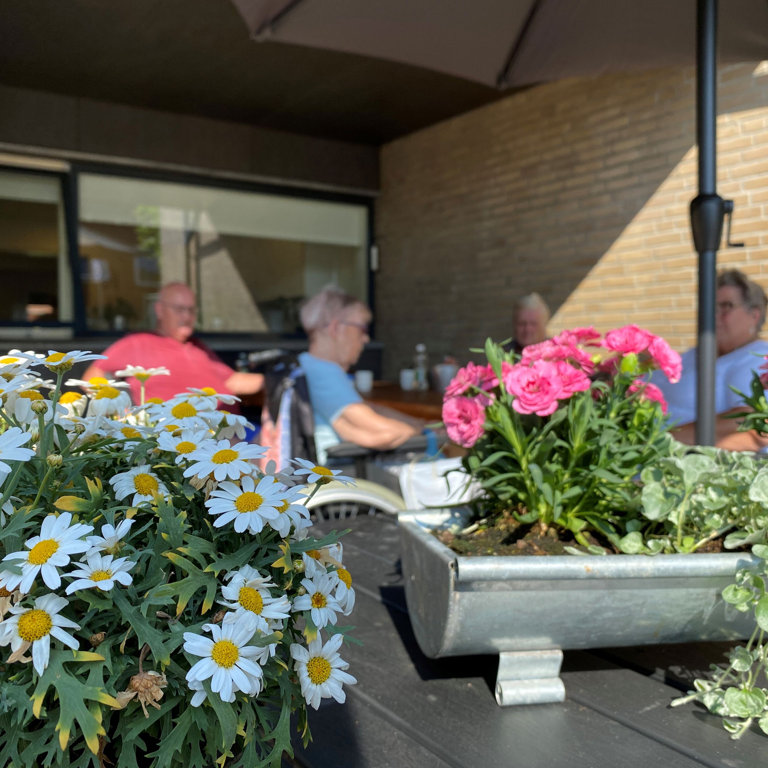 Terrasse med blomsterkrukker hos Møllebo