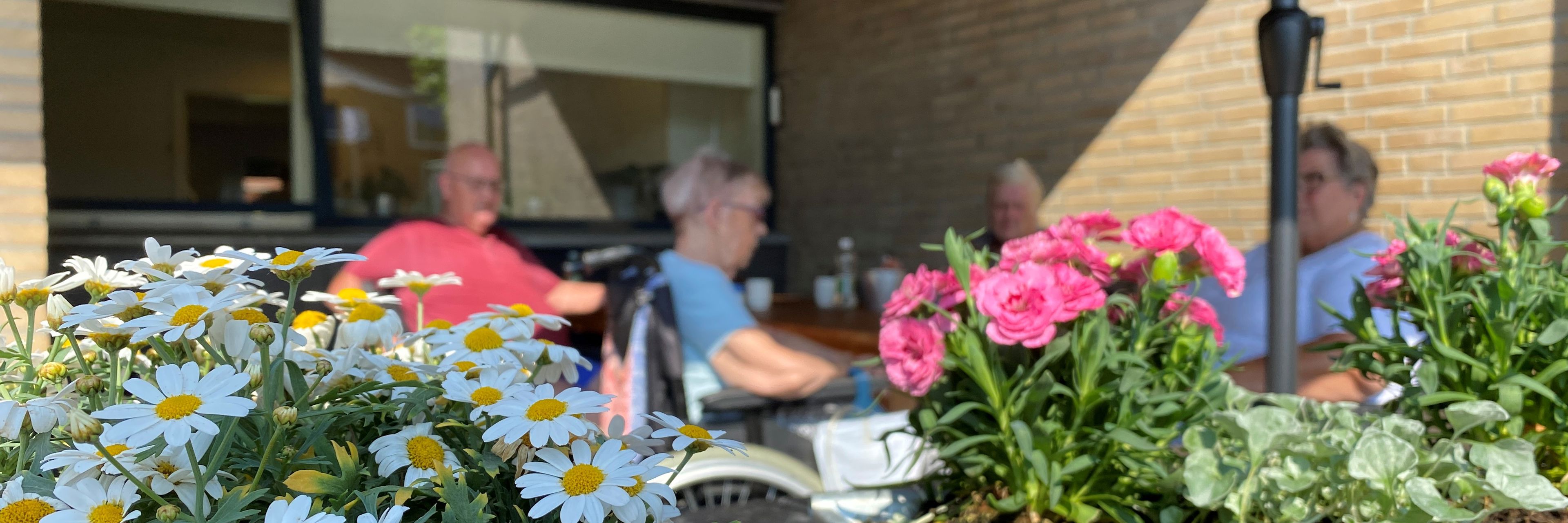 Terrasse med blomsterkrukker hos Møllebo