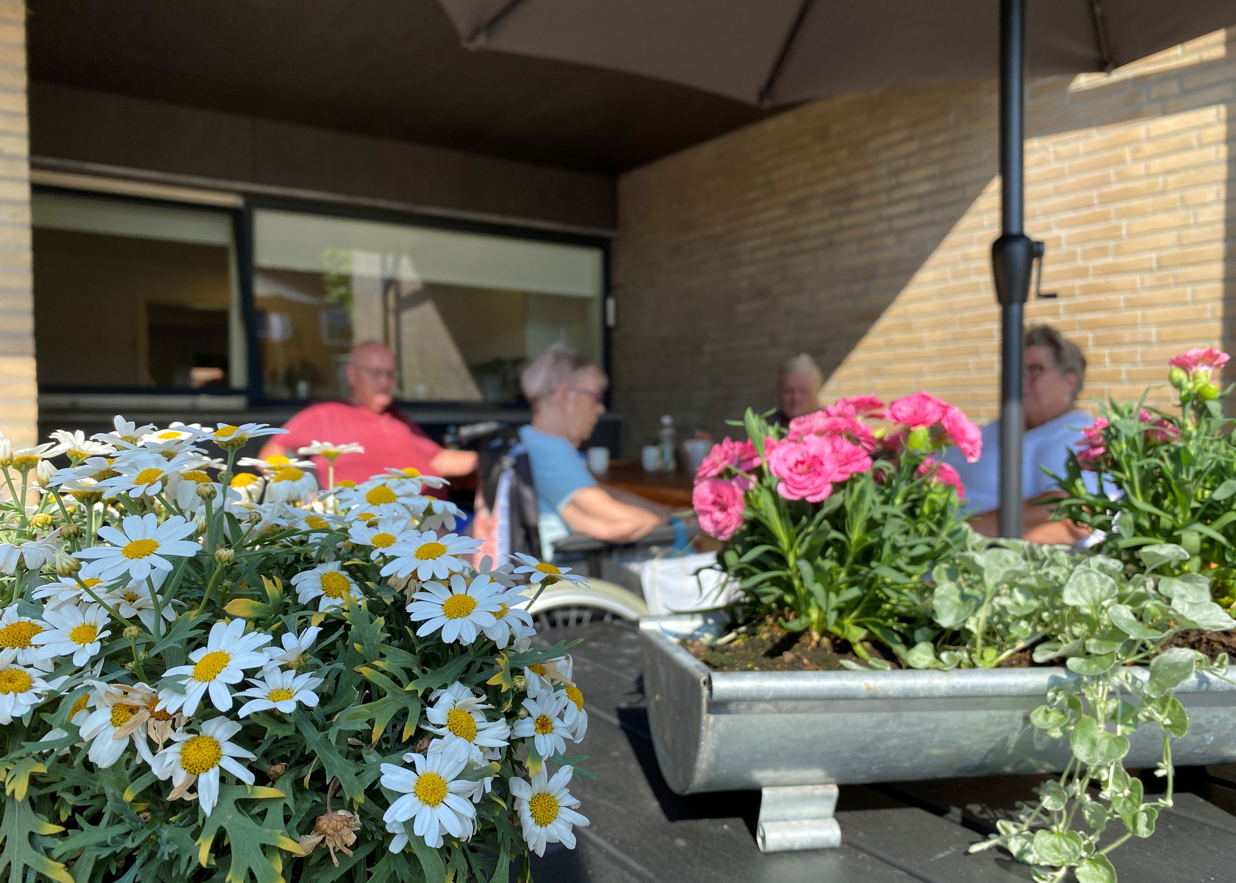 Terrasse med blomsterkrukker hos Møllebo
