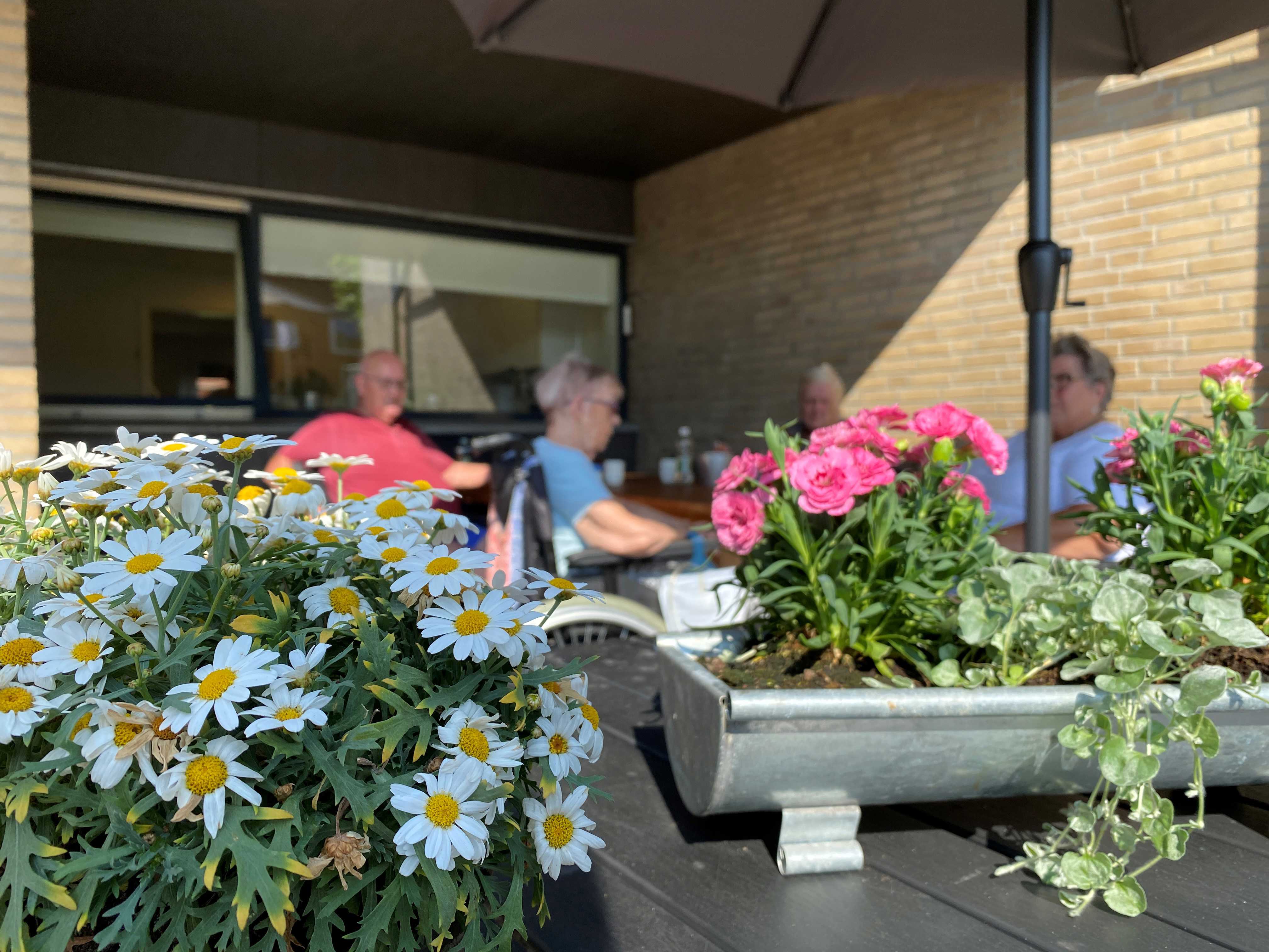 Terrasse med blomsterkrukker hos Møllebo